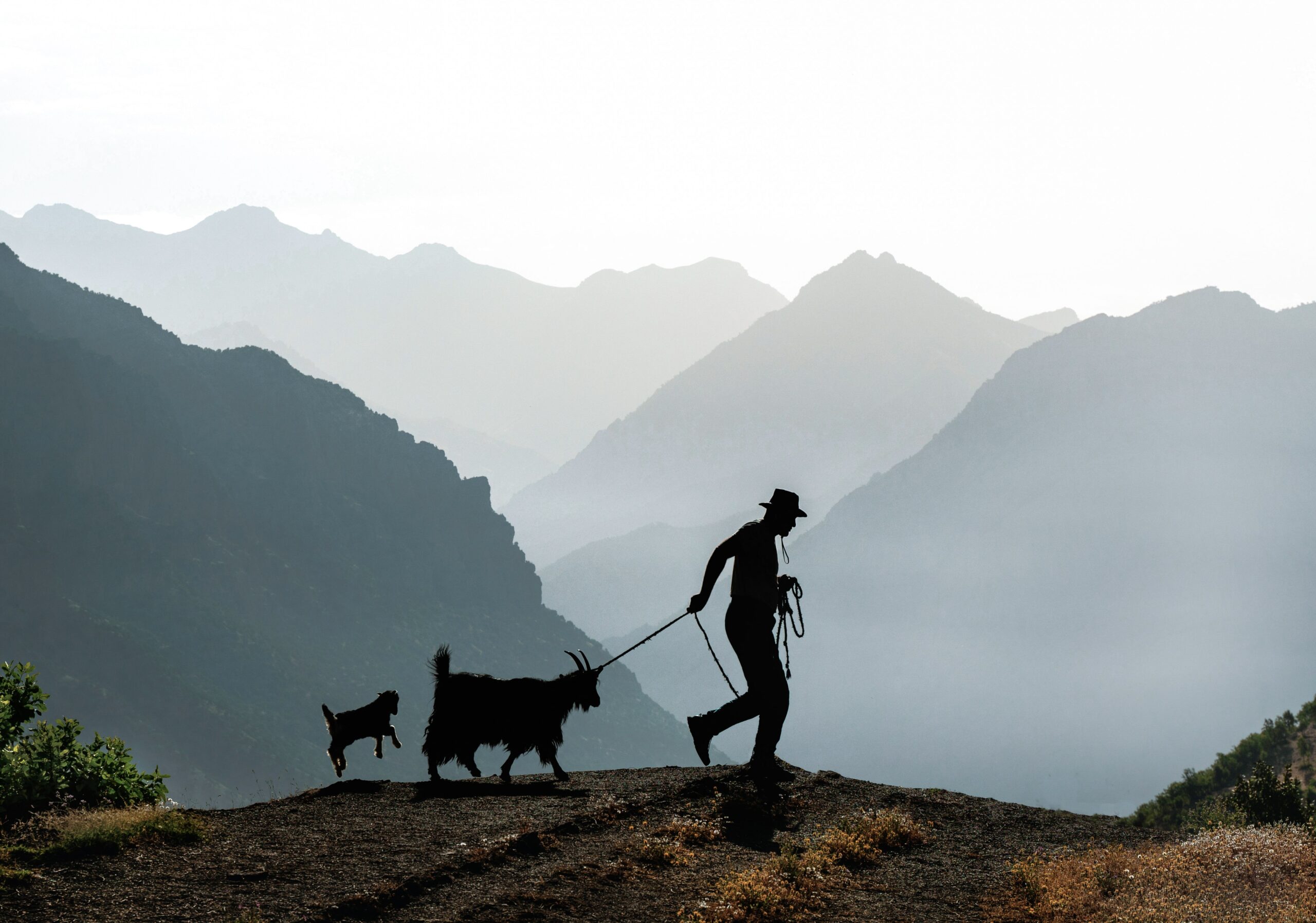 4. Çukurca Foto Safari ve Doğa Sporları